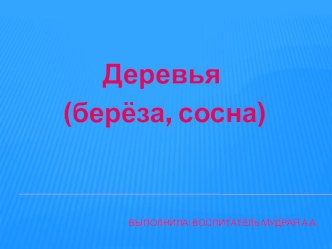 Деревья (берёза, сосна) презентация к уроку по окружающему миру (средняя группа)