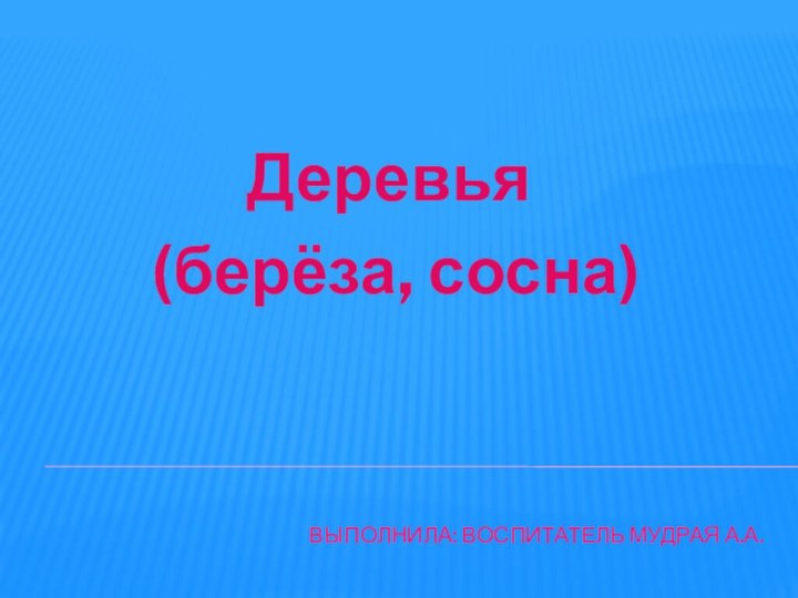 Выполнила: воспитатель Мудрая а.А.Деревья (берёза, сосна)