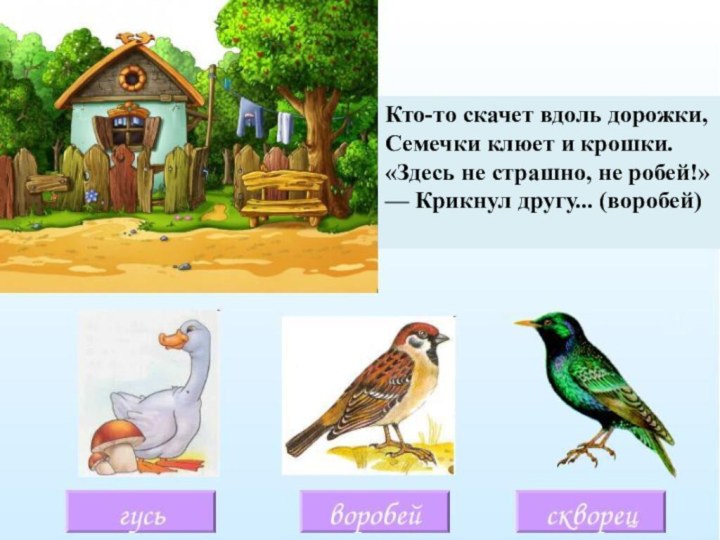Кто-то скачет вдоль дорожки, Семечки клюет и крошки. «Здесь не страшно, не