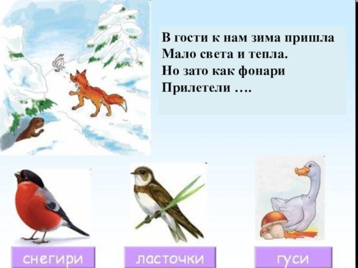 В гости к нам зима пришлаМало света и тепла.Но зато как фонари Прилетели ….