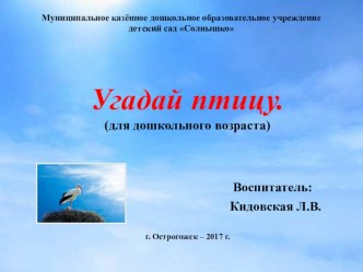 Презентация Загадки про птиц презентация к уроку по окружающему миру (средняя группа) по теме