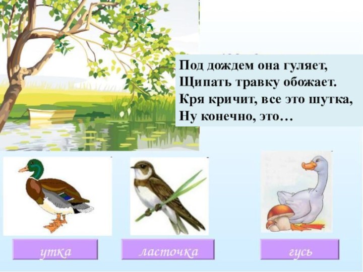 Под дождем она гуляет,Щипать травку обожает.Кря кричит, все это шутка,Ну конечно, это…