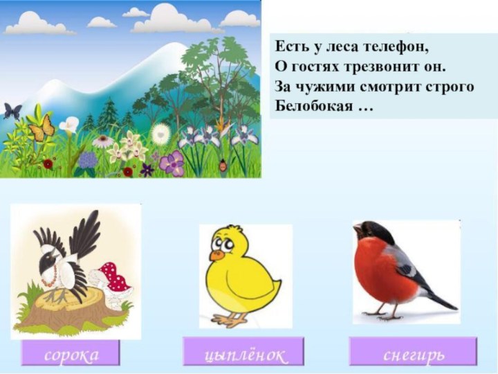 Есть у леса телефон,О гостях трезвонит он.За чужими смотрит строгоБелобокая …