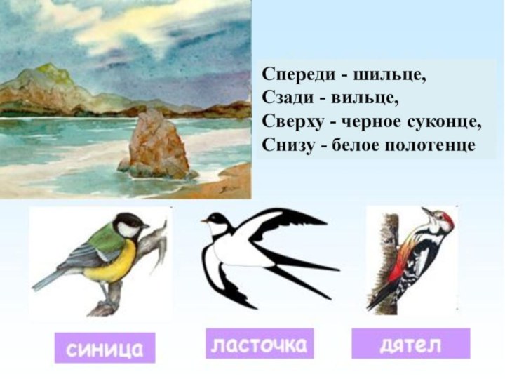 Спереди - шильце, Сзади - вильце, Сверху - черное суконце, Снизу - белое полотенце