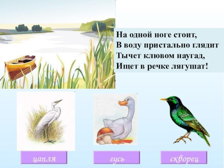 На одной ноге стоит,В воду пристально глядитТычет клювом наугад,Ищет в речке лягушат!