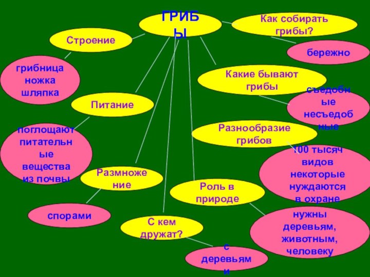ГРИБЫСтроениеКак собирать грибы?ПитаниеС кем дружат?РазмножениеРоль в природеРазнообразие грибовКакие бывают грибыгрибницаножкашляпкапоглощают питательные веществаиз