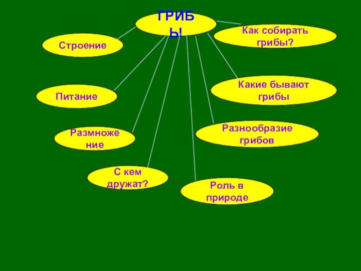 ГРИБЫСтроениеКак собирать грибы?ПитаниеС кем дружат?РазмножениеРоль в природеРазнообразие грибовКакие бывают грибы
