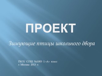 Проект Зимующие птицы школьного двора. презентация к уроку по окружающему миру (1 класс) по теме