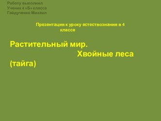 презентация: хвойный лес(тайга) презентация к уроку по окружающему миру (4 класс)