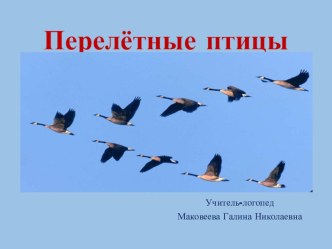 Перелётные птицы Презентация - Занятие Маковеевой Г.Н. презентация по логопедии