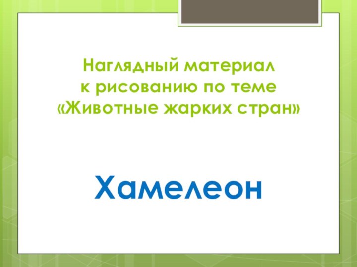 Наглядный материал к рисованию по теме «Животные жарких стран»Хамелеон