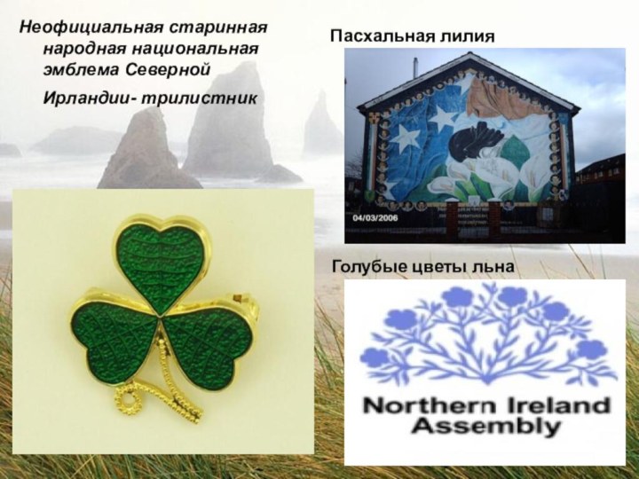 Неофициальная старинная народная национальная эмблема Северной Ирландии- трилистник Пасхальная лилия Голубые цветы льна