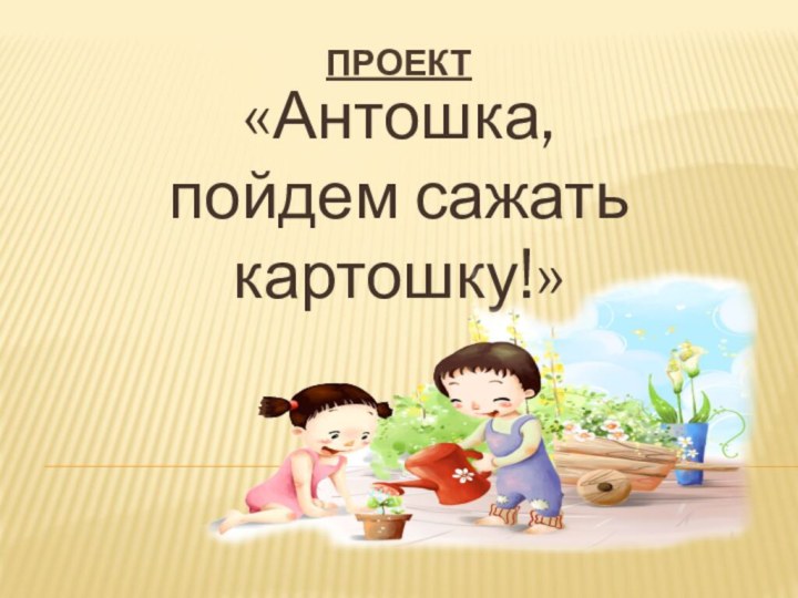 Проект «Антошка, пойдем сажать картошку!»