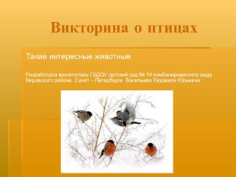 Викторина о птицах презентация к уроку по окружающему миру (подготовительная группа)