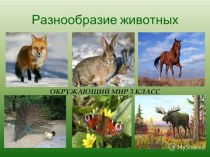 Открытый урок Разнообразие животных план-конспект урока по окружающему миру (3 класс)