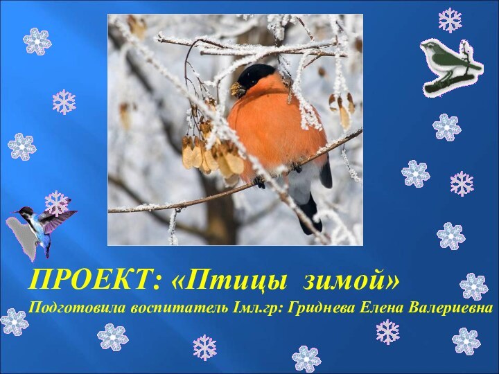 ПРОЕКТ: «Птицы зимой»Подготовила воспитатель Iмл.гр: Гриднева Елена Валериевна