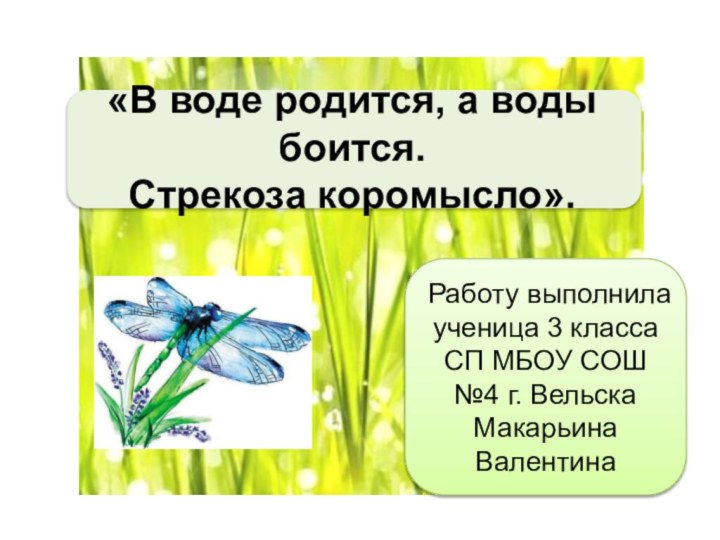 «В воде родится, а воды боится. Стрекоза коромысло».Работу выполнила ученица 3 классаСП