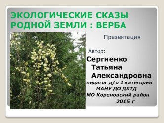 Экологические сказы родной земли: верба презентация к уроку по окружающему миру