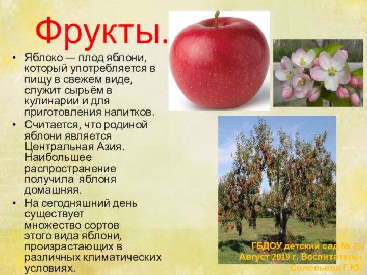 Яблоко — плод яблони, который употребляется в пищу в свежем виде, служит сырьём в
