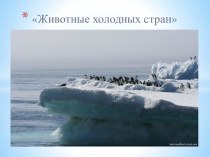 Презентация Животные холодных стран презентация к уроку по окружающему миру (подготовительная группа)