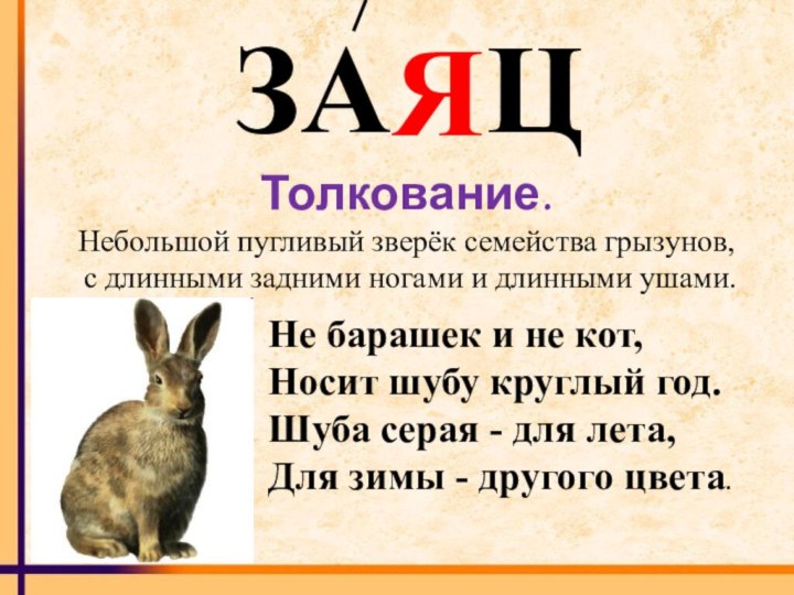 Не барашек и не кот,