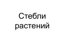 Презентация по теме Стебли растений презентация к уроку по окружающему миру (3 класс) по теме