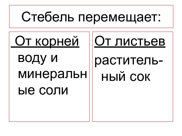 Стебель перемещает: От корней воду и минеральные солиОт листьевраститель-ный сок