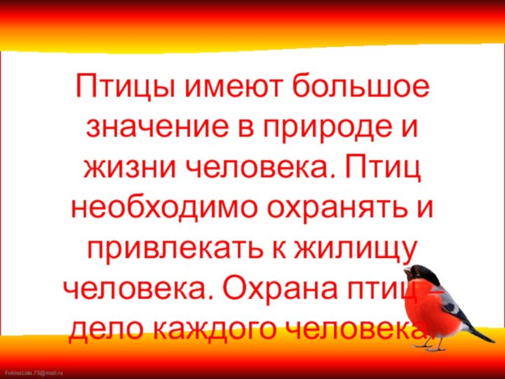 Птицы имеют большое значение в природе и жизни человека. Птиц необходимо охранять