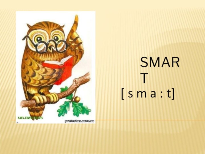 SMART[ s m a : t]