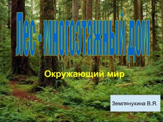 Лес - многоэтажный дом презентация к уроку