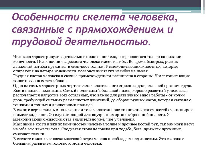 Особенности скелета человека, связанные с прямохождением и трудовой деятельностью.Человека характеризует вертикальное положение