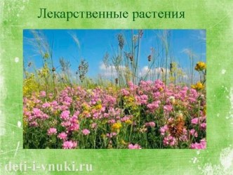 Конспект занятия в старшей группе по экологическому воспитанию. Презентация. презентация к уроку по окружающему миру (старшая группа)