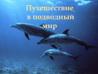 Путешествие в подводный мир презентация по окружающему миру