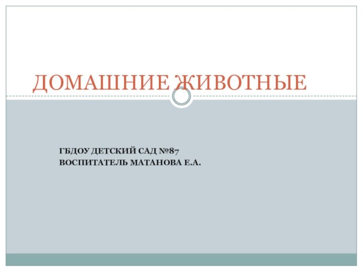 ГБДОУ Детский сад №87Воспитатель Матанова Е.А.ДОМАШНИЕ ЖИВОТНЫЕ