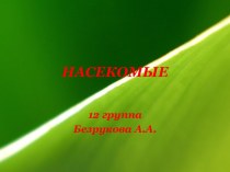 Насекомые презентация к уроку (младшая группа)