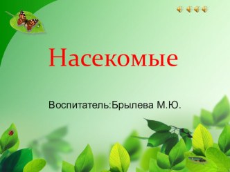 Презентация Насекомые презентация к уроку по окружающему миру (старшая, подготовительная группа)