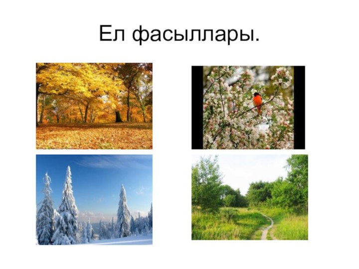 Ел фасыллары.