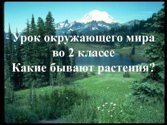 Растения план-конспект урока по окружающему миру (2 класс)