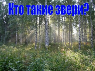 Тема: Кто такие звери? план-конспект занятия по окружающему миру (1 класс)