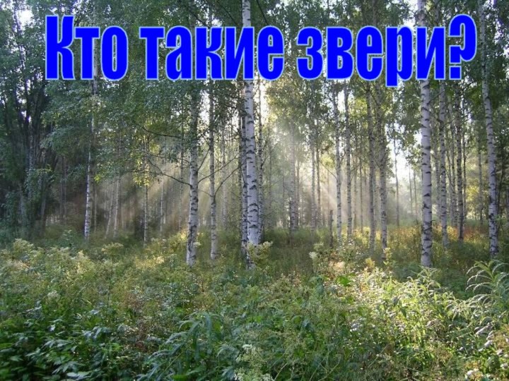 Кто такие звери?