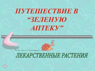 Классный час Путешествие в Зеленую аптеку. классный час (4 класс) по теме