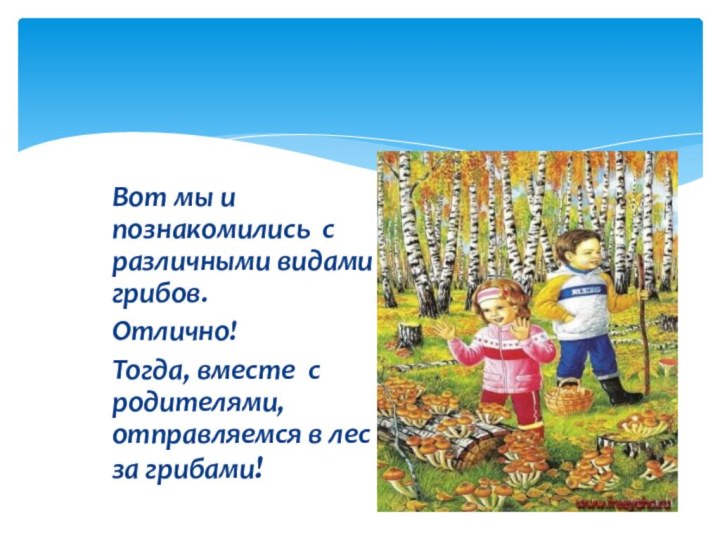 Вот мы и познакомились с различными видами грибов. Отлично!Тогда, вместе с родителями,