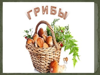 презентация старшая группа Грибы методическая разработка (старшая группа) по теме