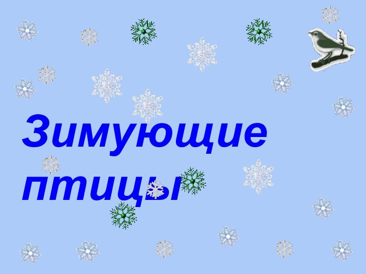 Зимующие птицы