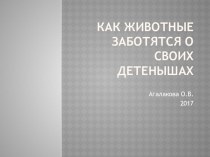 презентация  как животные заботятся о своих детенышах презентация к уроку (средняя группа)