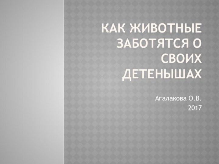 Как животные заботятся о своих детенышахАгалакова О.В.2017