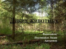 Презентация: Дикие животные презентация к уроку (подготовительная группа)