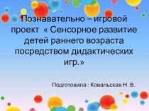 Презентация проекта в группе раннего возраста  Сенсорное развитие детей раннего возраста посредством дидактических игр. презентация