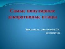 презентация к ООД по окружающему миру Декоративные птицы занимательные факты (старшая группа)