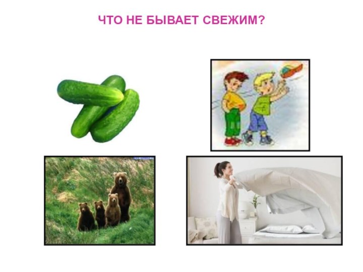 ЧТО НЕ БЫВАЕТ СВЕЖИМ?